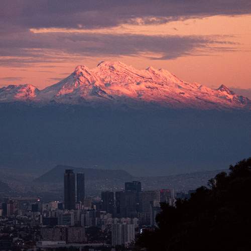 Photo #11921346