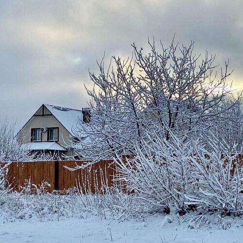 Photo #11921354