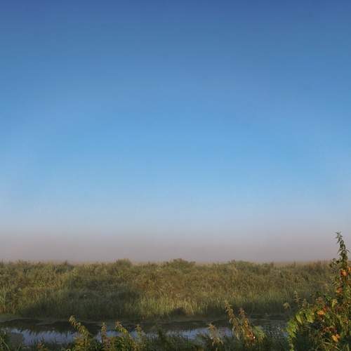 Photo #11921370