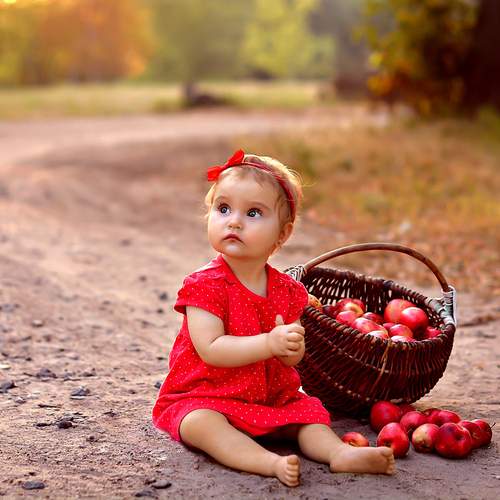 Photo #11921505