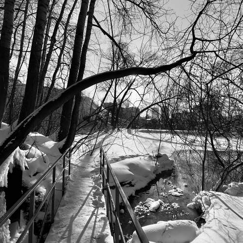 Photo #11921735