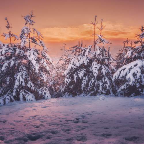 Photo #11921845