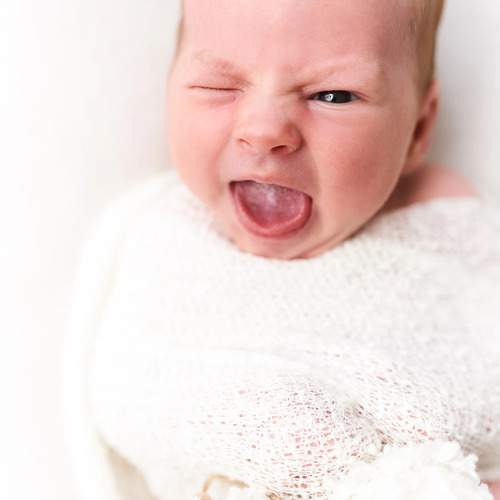 Фотография #11921913