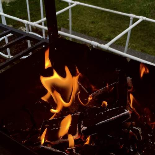Photo #11922127