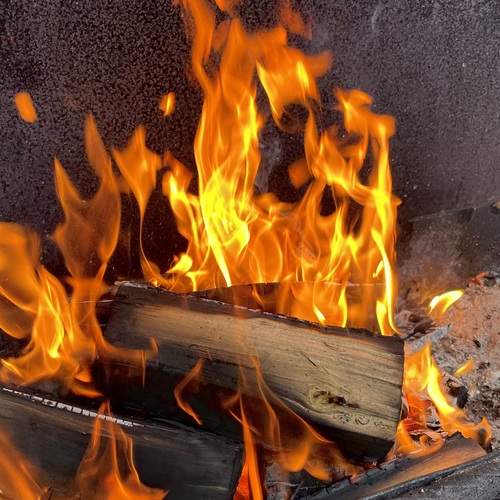 Photo #11922128