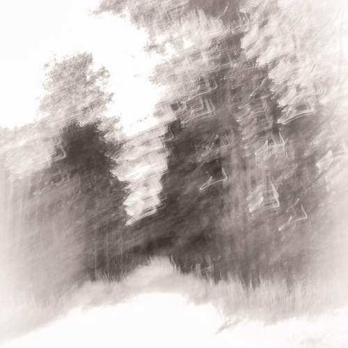 Photo #11922156