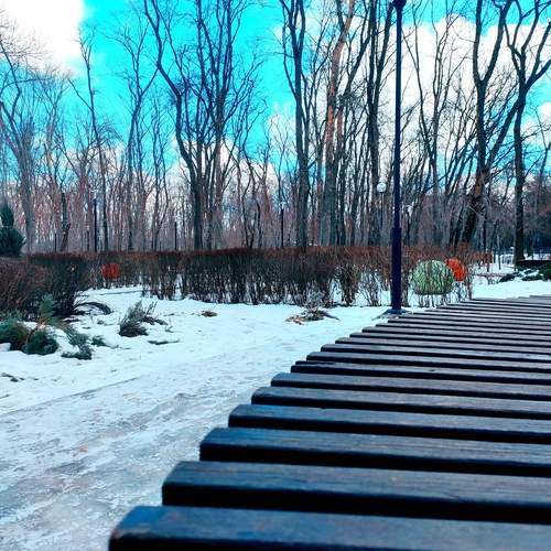 Photo #11922272