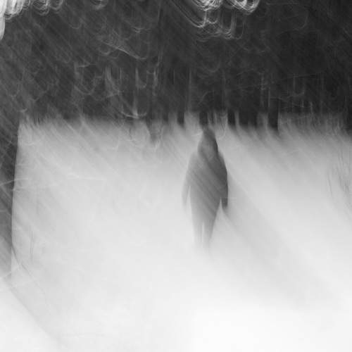 Photo #11922323
