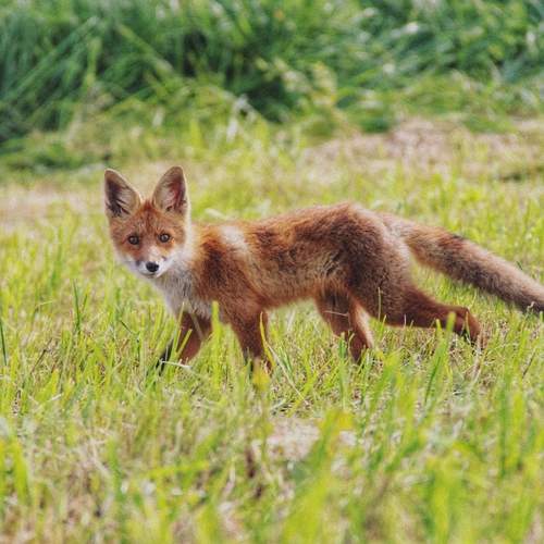 Photo #11922347