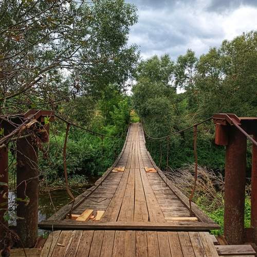 Photo #11922363
