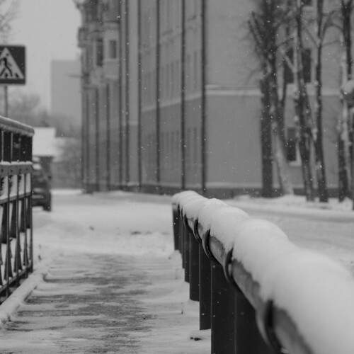 Photo #11922399