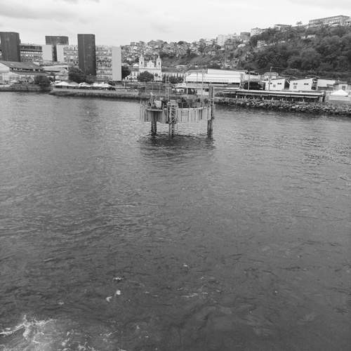 Photo #11922706