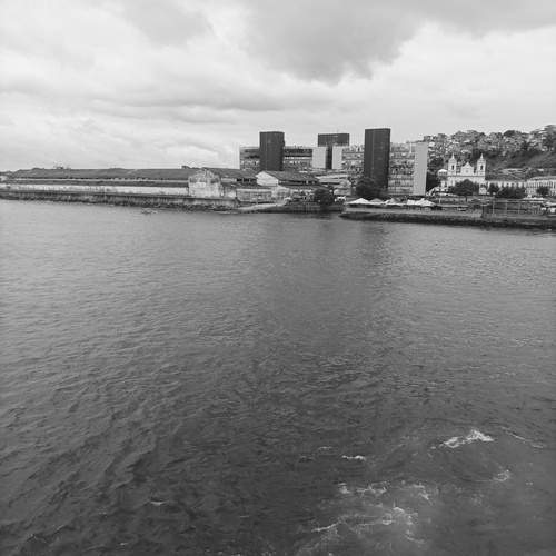 Photo #11922709