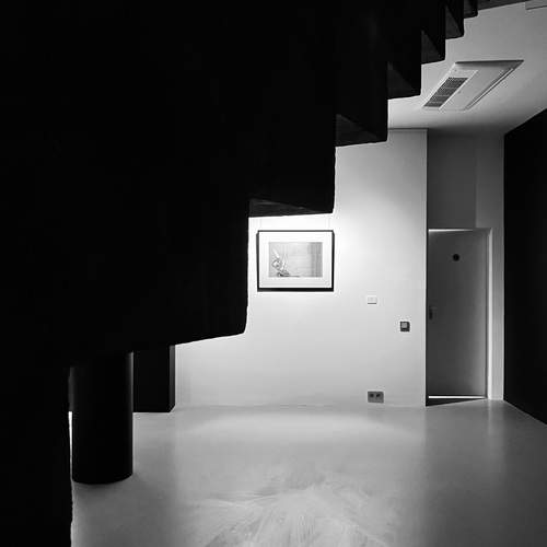 Photo #11923084