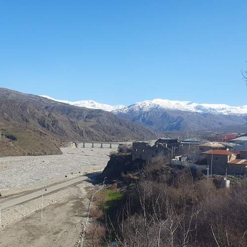 Photo #11923118