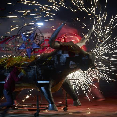 Фотография #11923157