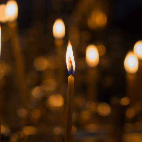 Photo #11923336