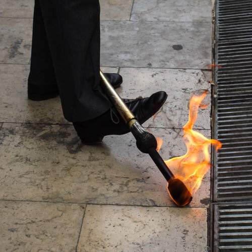 Photo #11923433