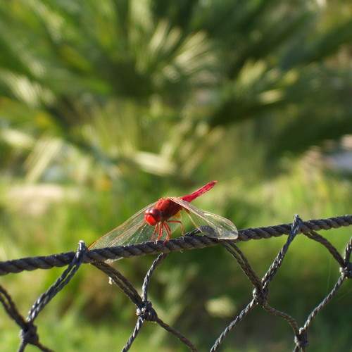 Photo #11923446
