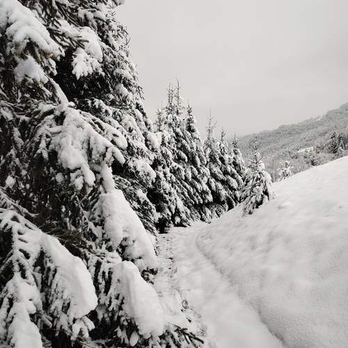 Photo #11923650