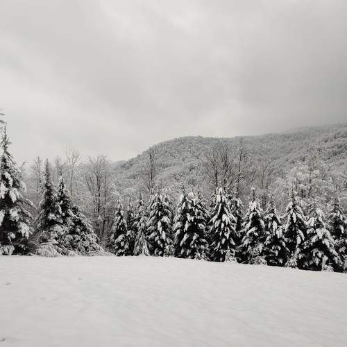 Photo #11923653