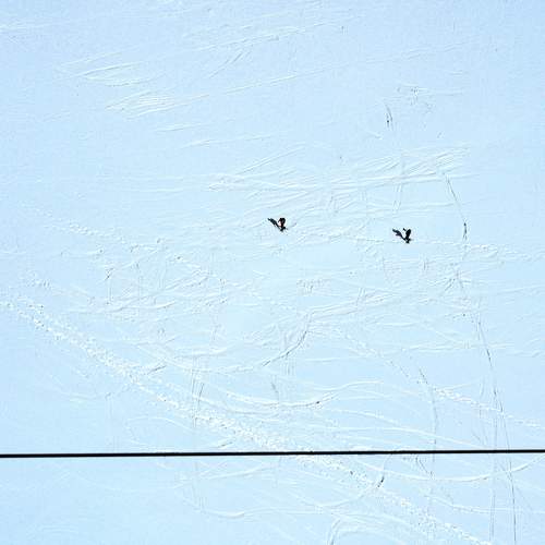 Photo #11923724