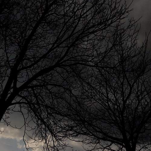 Photo #11923751