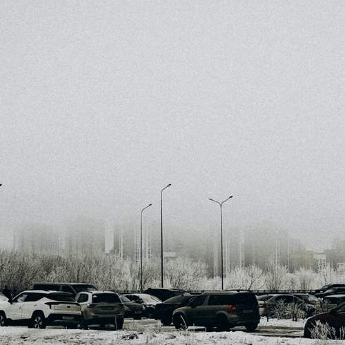 Photo #11923788