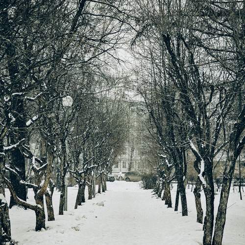 Photo #11923791