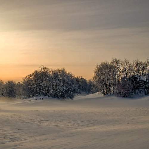 Photo #11923929
