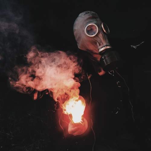 Photo #11923999