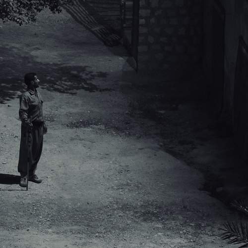 Photo #11924033