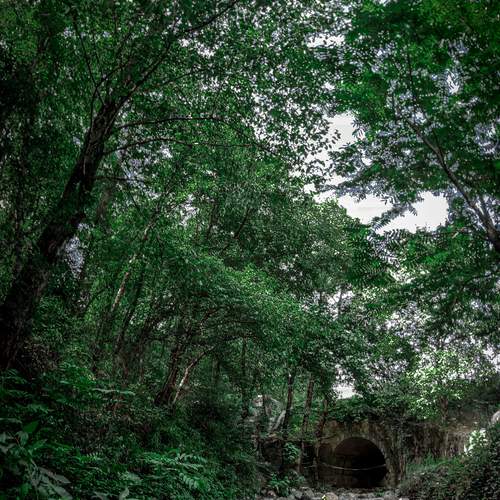 Photo #11924052