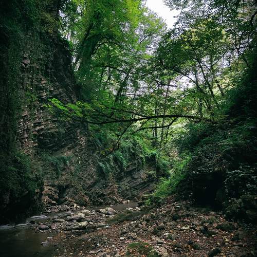 Photo #11924060