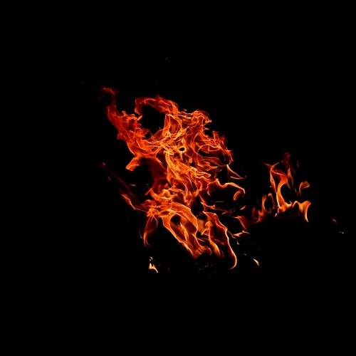 Photo #11924075