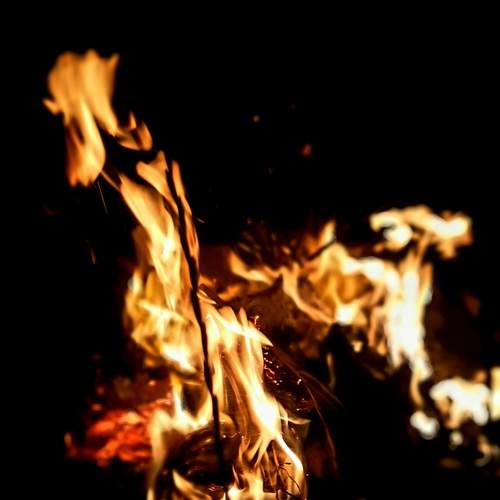 Photo #11924076