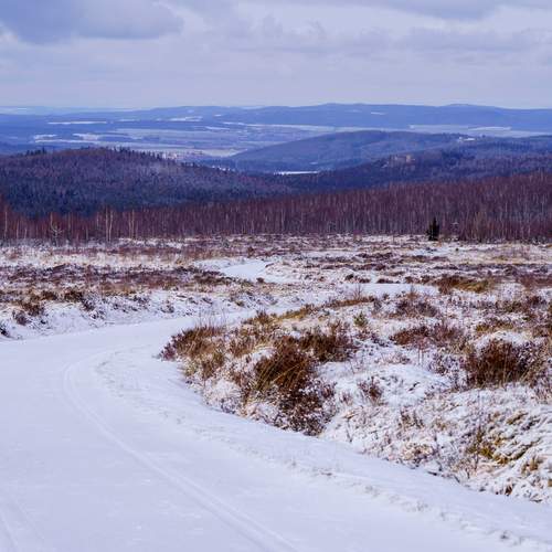 Photo #11924090