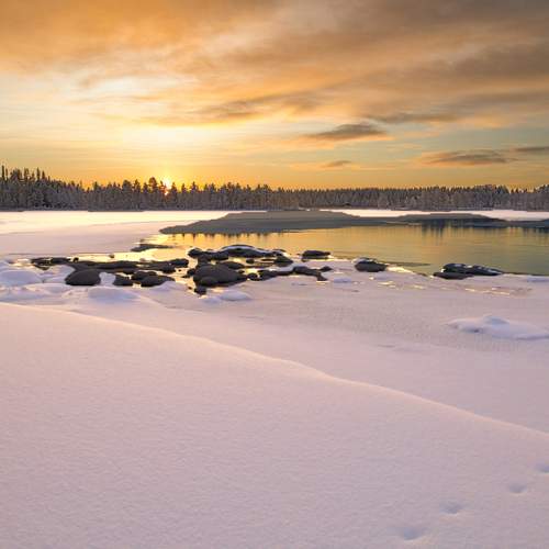 Photo #11924254