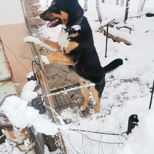 Photo #11924329