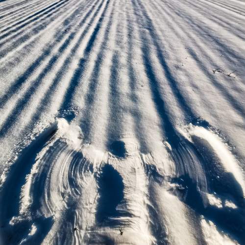 Photo #11924447