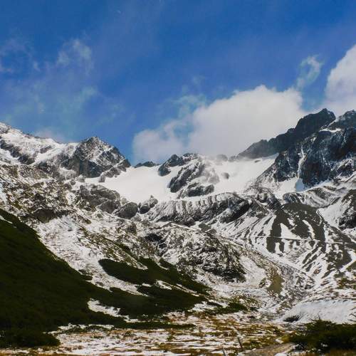 Photo #11924494