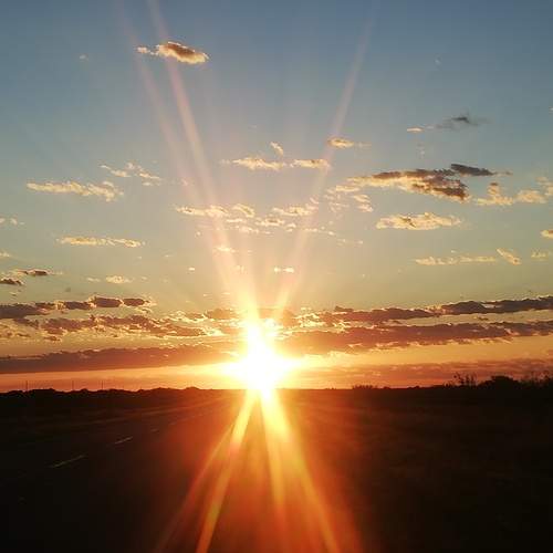 Photo #11924754