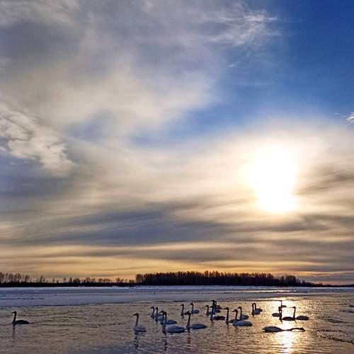 Photo #11924985