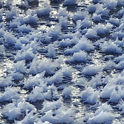 Photo #11925094