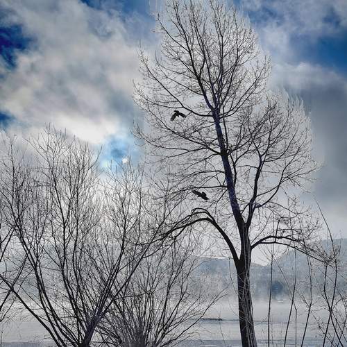 Photo #11925113