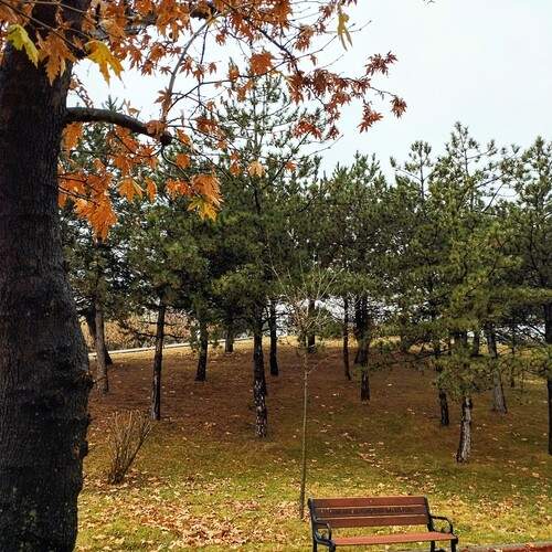 Photo #11925451