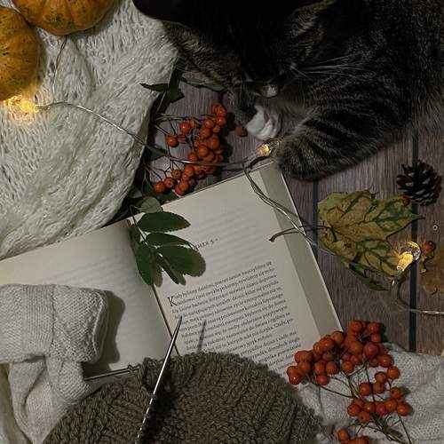 Photo #11925455
