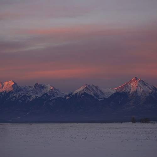 Photo #11925508