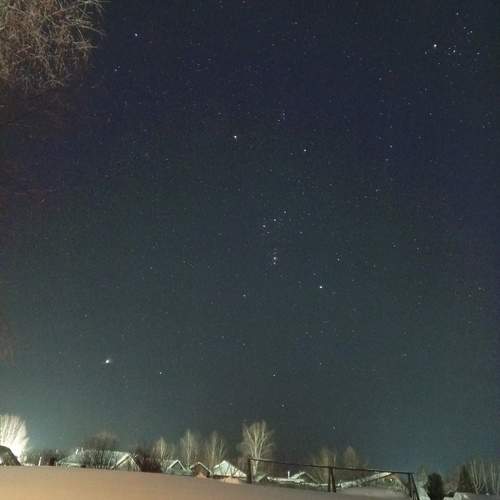Photo #11925639