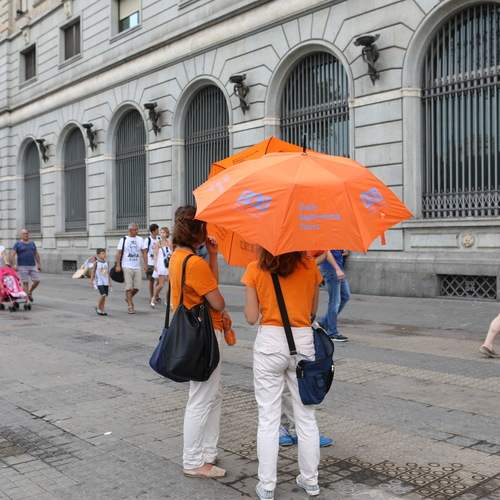 Photo #11925700